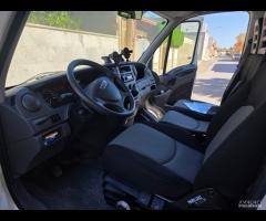 Iveco Daily Frigo