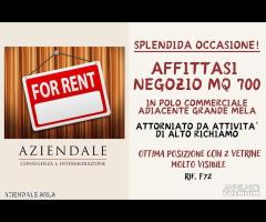 NEGOZIO VUOTO MQ 700 + MAGAZZINO ZONA GRANDE MELA - 1