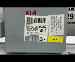 CENTRALINA CONVERTITORE DI TENSIONE LDC 1.7D 105Kw - 4