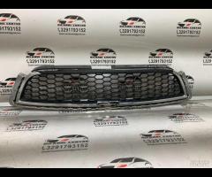 GRIGLIA PARAURTI ANTERIORE GRIGLIA RADIATORE SUPER