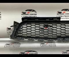 GRIGLIA PARAURTI ANTERIORE GRIGLIA RADIATORE SUPER - 10