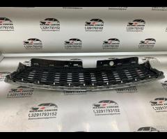 GRIGLIA PARAURTI ANTERIORE GRIGLIA RADIATORE SUPER - 12