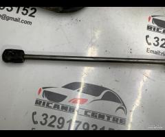 CERNIERA COFANO ANTERIORE SINISTRA SX JAGUAR F-PAC - 10