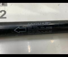 CERNIERA COFANO ANTERIORE SINISTRA SX JAGUAR F-PAC - 11