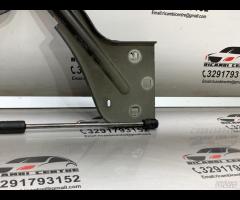 CERNIERA COFANO ANTERIORE SINISTRA SX JAGUAR F-PAC - 18