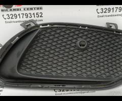 MASCHERINA FENDINEBBIA PARAURTI ANTERIORE DX MERCE - 6