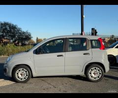 Fiat Panda 1.0 firefly hybrid Uff. - 8