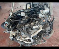 Disponibile motore fiesta 2020 1.5 diesel.
