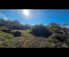 Palestrina, 5000 mq con rustico