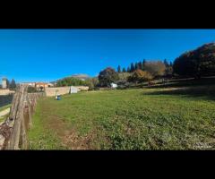 Palestrina, 5000 mq con rustico