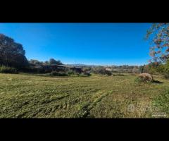 Palestrina, 5000 mq con rustico