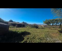 Palestrina, 5000 mq con rustico