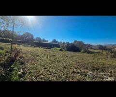 Palestrina, 5000 mq con rustico