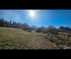 Palestrina, 5000 mq con rustico - 6