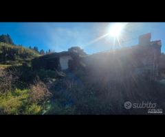 Palestrina, 5000 mq con rustico - 8