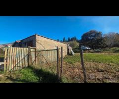 Palestrina, 5000 mq con rustico - 9