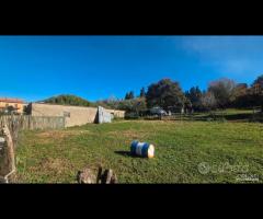 Palestrina, 5000 mq con rustico - 10