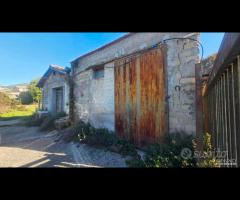 Palestrina, 5000 mq con rustico - 11