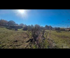 Palestrina, 5000 mq con rustico - 12