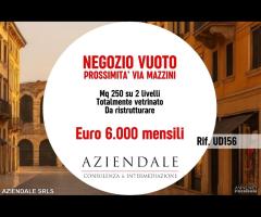 NEGOZIO VUOTO VICINANZE VIA MAZZINI - 1