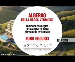 TERRENO CON PROGETTO HOTEL 3 STELLE BASSO VERONESE