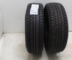 225 55 18 nankang nuove