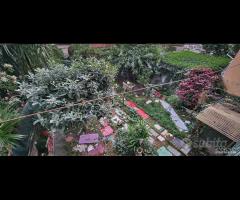 Casa singola con giardino a Fiumefreddo di Sicilia - 7