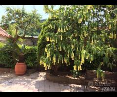 Casa vacanza Formia Gaeta 450 mt dal mare