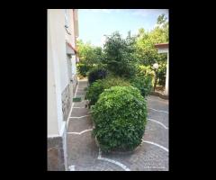 Casa vacanza Formia Gaeta 450 mt dal mare - 8