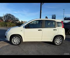 DISPONIBILE SOLO A NOLEGGIO RENT FIAT PANDA - 8