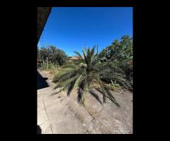 Villa singola a Zafferana Etnea - 25