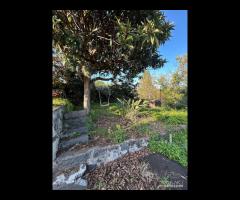 Casa singola con terreno a Santa Venerina - 20