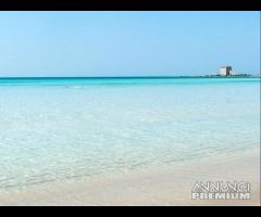 10 metri dal mare villaTetta Torre Lapillo - 21