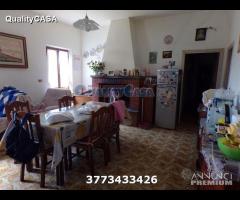 Casale con pozzo a jesi - 6