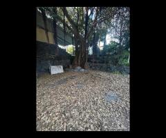 Locale ad uso ristorativo a Stazzo - Acireale - 14