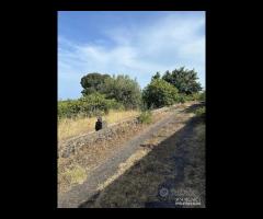 Terreno 10.000mq tra Pozzillo e Stazzo - Acireale