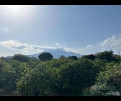 Terreno 10.000mq tra Pozzillo e Stazzo - Acireale
