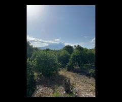 Terreno 10.000mq tra Pozzillo e Stazzo - Acireale