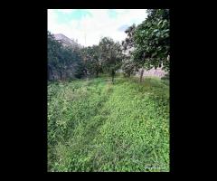 Terreno edificabile 1000mq a Giarre