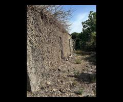 Terreno 10.000mq tra Pozzillo e Stazzo - Acireale - 6