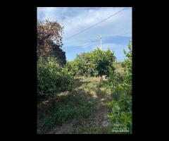 Terreno 10.000mq tra Pozzillo e Stazzo - Acireale - 7