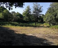 Terreno 3.000mq con progetto a Linguaglossa - 7