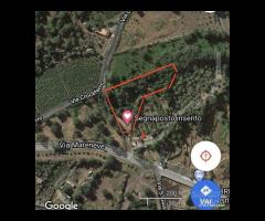 Terreno 3.000mq con progetto a Linguaglossa - 9