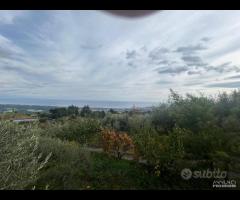 Terreno agricolo a Nunziata di Mascali