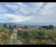 Terreno agricolo a Nunziata di Mascali