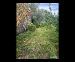 Terreno agricolo a Nunziata di Mascali
