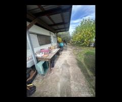 Terreno agricolo a Nunziata di Mascali