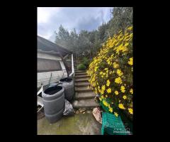 Terreno agricolo a Nunziata di Mascali