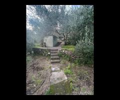 Terreno agricolo a Nunziata di Mascali - 7