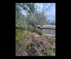 Terreno agricolo a Nunziata di Mascali - 9